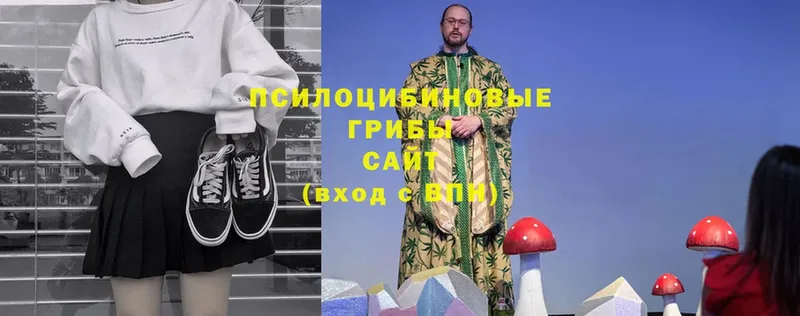 Псилоцибиновые грибы Magic Shrooms  нарко площадка официальный сайт  Орехово-Зуево 