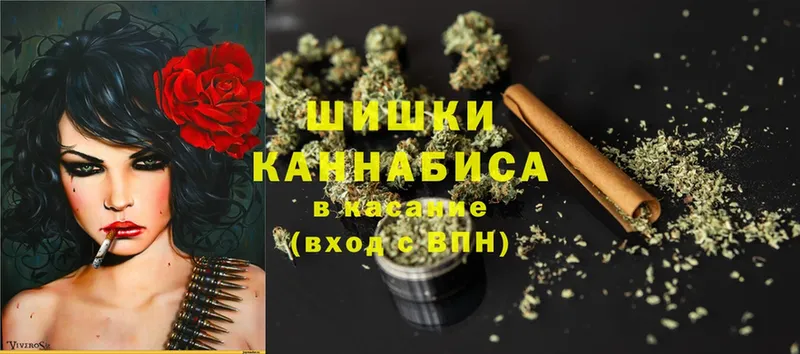 Каннабис White Widow  Орехово-Зуево 